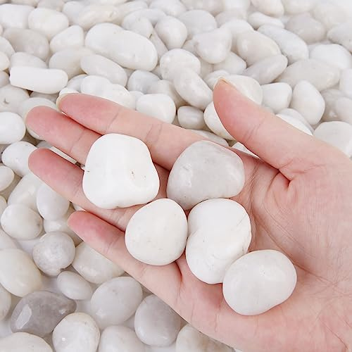 ICEBLUEOR Piedras blancas decorativas de 2.2 libras, grava pulida natural, piedras blancas para jardín, acuario, pecera, estanque, macetas, rellenos de jarrones, paisajismo (2-3 cm)
