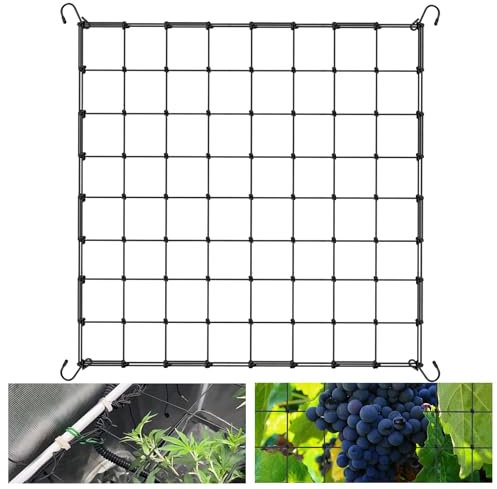 Lithyc Red De Tienda De Cultivo-Red De Soporte para Frutas-Red De Enrejado De Plantas-Se Utiliza para Redes De Soporte para Plantas De Verduras, Frutas Y Flores (Adecuado para bastidores 80/200)