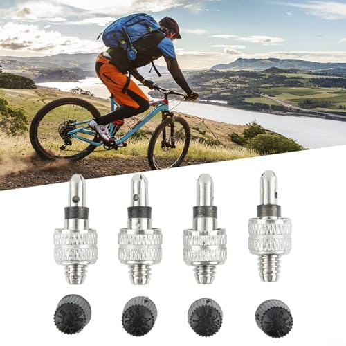 4 Pack Tube Valve Replacement for Dunlop Valve System, Stainless Steel Germany Valve Stem Compatible with for Bike Inner Tube, 4pcs Silver