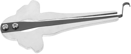 Gatuida Traditionelles Mundmusikinstrument mit Einzigartiger Melodienvielfalt Maultrommel Leichte aus Metall Silberfarben für Entspannung und Meditation