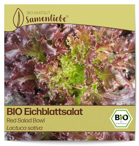 Samenliebe BIO Eichblattsalat Samen Red Salad Bowl nussiger Pflücksalat Salat rot grün 500 Samen samenfestes Gemüse Saatgut für Gewächshaus Freiland und Balkon BIO Gemüsesamen
