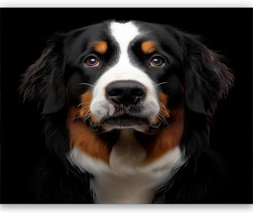 Papel pintado fotográfico impreso Retrato perro parte superior Papel pintado fotográfico de tejido no tejido 250 x 175 cm arte fotográfico pared de Negro pintado de pared imagen de pare