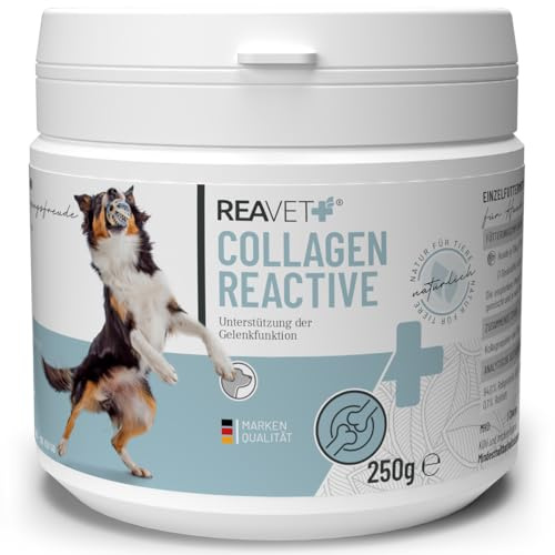 ReaVET Collagen Reactive ledpulver för hundar 250g — i premiumkvalitet, kollagen hund, gelatin för hundar, ledpulver hundar, kollagen pulver hund, fiskkollage för lederna