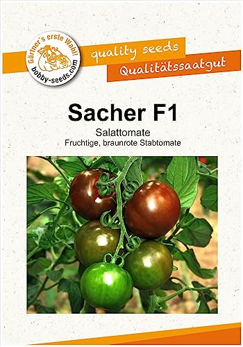 Tomatensamen Sacher F1 Portion