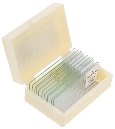 Lames de Microscope en Verre pour Bioexpérience, 1 Set