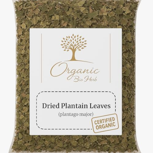 Organic Bio Herbs-Premium Dried Plantain Leaves – Natural Herbal Tea & Wellness Support, Whole Cut & Sun-Dried (Plantago major) 6 Oz.