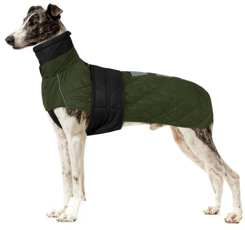 Greyhound vattentät rock, bekväm hundtröja stor Greyhound tröja pyjamas vindtät vinter hundar varma jackor pullover rock snygg