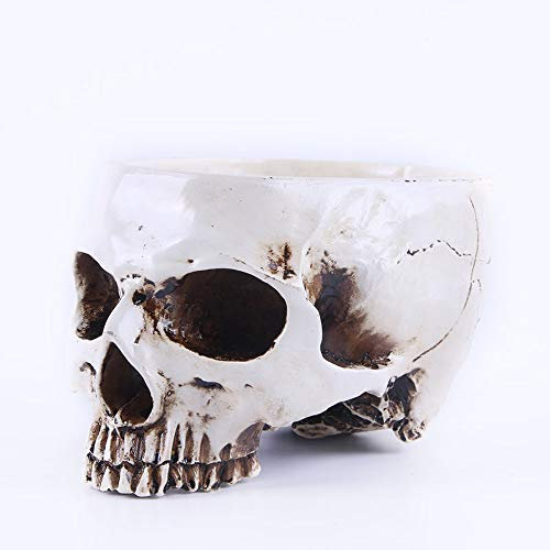 AIKENR Escultura de calavera de Halloween, cuenco de caramelo, estatua de escultura de esqueleto, 6.4 pulgadas, tallado floral