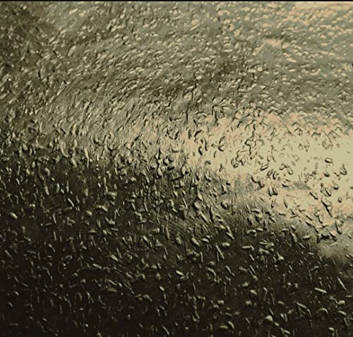 H+V Paul Kamm® Metallic Wandfarbe 2kg (ca.2Liter) Effektfarbe, Wandfarbe Innenbereich, Glitzer, Glitzereffekt, Glitter, Metallisch, Schimmer