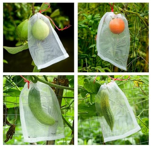10 StückObst Schutzbeutel 40 x 60 cm Insektenschutzsack mit Zugband Atmungsaktiv Netztasche Wiederverwendbar Fruchtschutzbeutel Weiß Netzbeutel Schutzsack zum Schutz vor Wespen Vögel Fruchtfliege