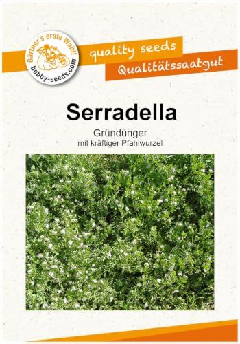Gärtner's erste Wahl! Bobby-Seeds Serradella Gründüngung 50g für ca. 12 m², Saatgut ohne Gentechnik, Bodenkur, Leguminose mit Pfahlwurzel