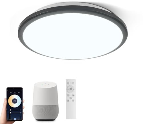 Horevo Lámpara de Techo Inteligente LED 24W Negro Montaje Empotrado con Control Remoto - Compatible con Alexa y Google Home - Dimmable de 30 cm para Dormitorio, Cocina, Sala de Estar