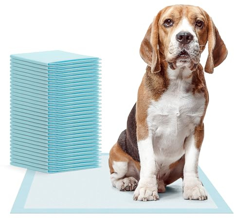 60x ARNOMED® Welpen Unterlagen 60x60cm, Saugstarke PIPI Matten Hunde | Puppy & Dog Pads, Trainigspad 5-lagig, Inkontinenzunterlagen Hund & Welpen, Hundeunterlagen Pipi, Matten Auslaufsicher