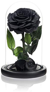 NATROSES Weihnachts- und Geburtstagsgeschenke für Frauen, handgefertigte konservierte Rosen in Glaskuppel, schwarze Rosen, konservierte Blumen, Geschenke für Mutter, Muttertagsblumen