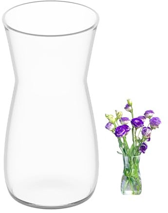 Vaso di vetro per fiori, vaso di vetro trasparente, 20CM alto Vaso di vetro per la decorazione della tavola, vaso decorativo per erba pampa, tulipani, orchidee, rose, fiori secchi
