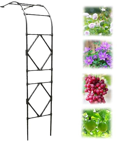 LTSRLL Metall-Halbbogen-Gartenlaube, Torbogen, Rosenbogen, 240 cm Hoch, 60/90/120/150/180/200/220/240 cm Breit, Stark, Stabil, Wetterfest Rankenbogen Rankhilfe(Color:Black,Size:90x240cm/3x7.9ft)