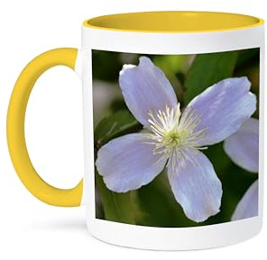 3dRose Pretty Pink Clematis Flower - Floral Print - Spring 15oz Two-Tone Yellow Mug