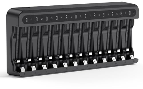 POWEROWL Cargador de Pilas Recargables Rápido, para Pilas Recargables Ni-MH AA AAA, Sin Adaptador (12 Ranuras