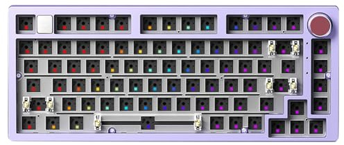 Flaroey Kit Tastiera Meccanica Cablata con Manopola, Luce RGB, Guarnizione, Alluminio Personalizzato A Caldo e Hot-Swap. Tastiera Cablata per Laptop da Ufficio e Gaming.