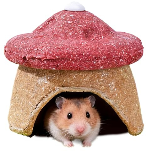 Hamsterhaus | Spielzeug zum Zahnen und Knabbern in Pilzform | Lebensraum für Hamster | für Igel, Frettchen, Kaninchen, Chinchilla und andere Tiere, Haus und Käfig