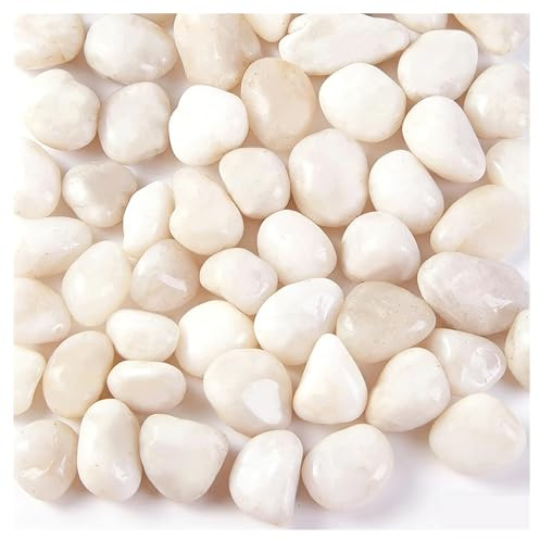 Genérico Guijarros Blancos pulidos, Piedras Decorativas Naturales de 300-800g, 2-3cm for jardín, Patio, florero, macetero, paisajismo(800g)