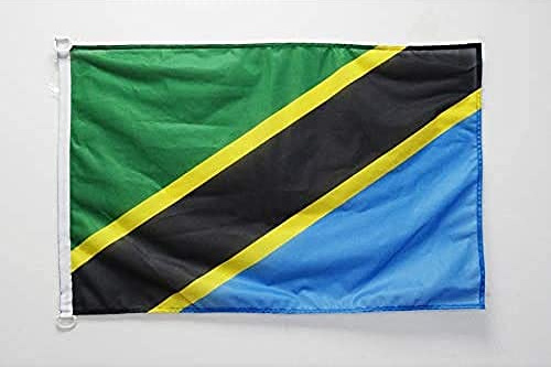 AZ FLAG Pavillon Tanzanie 45x30 cm Maille Bloquée Anneaux Plastique | Usage extérieur et nautique Pavillon nautique tanzanien Tanzania avec anneaux en plastique polyester maille