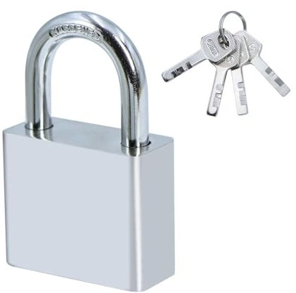 Qaixwuyi 1 Pezzo Lucchetto con Chiave Giardino 38MM Lucchetto Impieghi Gravosi D'argento Sicurezza Impermeabile Con 4 Chiavi Per Armadietti Garage Giardini