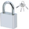 Qaixwuyi 1 Pezzo Lucchetto con Chiave Giardino 38MM Lucchetto Impieghi Gravosi D'argento Sicurezza Impermeabile Con 4 Chiavi Per Armadietti Garage Giardini