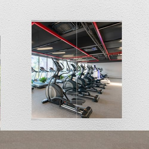 BOOLUU 2 PCS Tempered Glass Home Gym Mirror 48 x 24 Inch (Each), Full Length Wall Mounted & Frameless Full Mirror for Gym, Yoga Studio, Dancing Studio