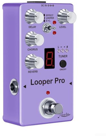 ROWIN Looper Pro Digital Effect Pedal Con Looper Delay Chorus Tuner Riverbero, Effettore di ritardo