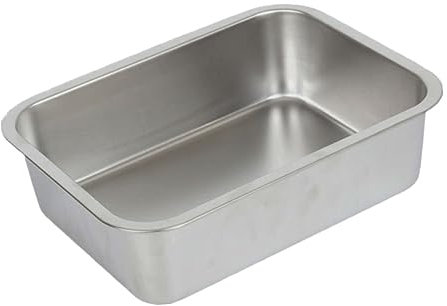 Ciieeo Plat de Service en Acier Inoxydable 1 Pc, Rond, Argenté, Surface Lisse, Facile à Nettoyer, pour Poissons et Légumes au Café Barbecue