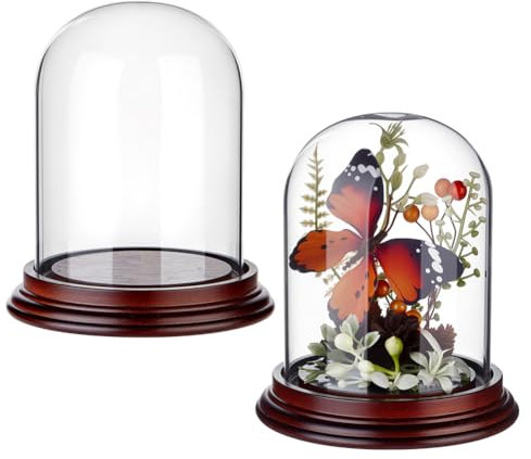 OLYCRAFT 2Pcs Cloche Bell Jar Display Case 116x133mm Glass Dome Cover with Black Sandalwood Base Clear Glass Empty Display Cloche Decorative Dome Cover Stand for Small Plants Collectible Candles
