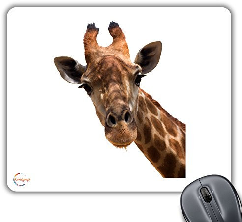 Coralgraph Inc CP618 Beautiful Giraffe Image Novelty Gift Printed PC Laptop Computer Mouse Mat Pad