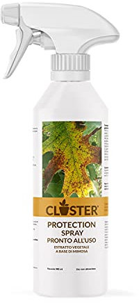 CLOSTER Protection Spray - Rimedio Naturale Contro Funghi, Peronospora e Oidio - Insetticida Piante, Antiparassitario Piante Liquido - Difende Orto, Giardino, Fiori e Frutta da Malattie (Spray 500 ML)