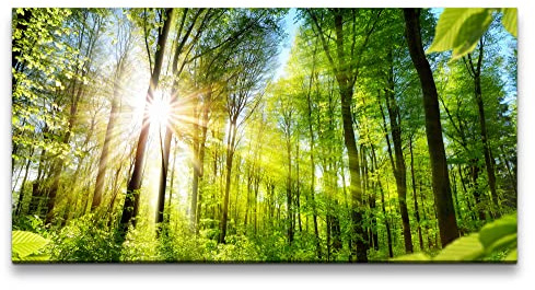 Paul Sinus Art Leinwandbild 120x60cm Wald Natur Sonnenstrahlen Bäume Baumkronen Grün