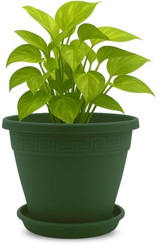 TECHZOCO Macetero con Plato, Maceta Redonda clásica de plástico con Plato, Tiesto para Plantas, Fabricado en Polipropileno, 19 cm Altura x 25 cm Diámetro Superior x 13 cm Diámetro Base, Verde