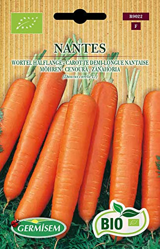 Germisem Biologico Nantes Semi di Carota 4 g