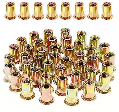 Gueenky 100 Stück Nietmuttern M10 Verzinkt Kohlenstoffstahl, Einnietmuttern M10 Kohlenstoffstahl Einziehmuttern Nutsert Gewindenieten Blindnietmuttern Nietmuttern für Metall Kunststoff