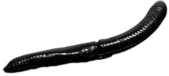 Libra Lures Fatty D`Worm 75mm | Forellenköder Supersoft | Inhalt: 8 Stück | Aroma: Krill (040 / Black)