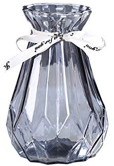 CIEEIN CIEHT Glas Vase Blumenvase Vasen Home Office Dekoration und Veranstaltungen Grau 15cm