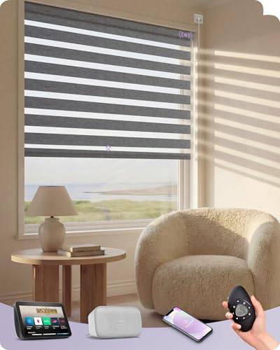 Graywind Electric Smart Zebra Blinds, Dimout or Translucent Dual-Layer Privacy Control, Motorised Day Night Blinds, Made to Measure, Hardwired with Remote, Alexa Google Compatible, Grey