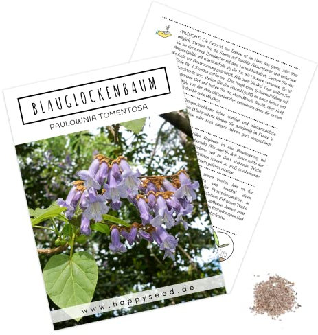Blauglockenbaum Kiribaum Samen (Paulownia tomentosa, 300 Korn) - Schnellst wachsender Baum der Welt mit violetten & glockenförmigen Blüten
