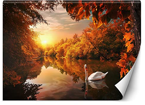 Feeby Papel Pintado Bosque Árboles Otoño Puesta de sol 200x140 cm Naranja Fotomurales Decoración De Pared Moderna Fotográfico Baño Cocina Dormitorio Oficina Lago Naturaleza Cisne