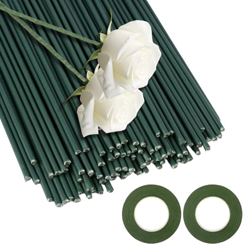 50 PCS Florist Wire Plant Sticks Plant Support Sticks, 2mm x 30cm, Floristry Wires Flower Arranging Accessories with 2 rolls of tape, Flexible Filigree Stub for DIY Craft Bouquet Making