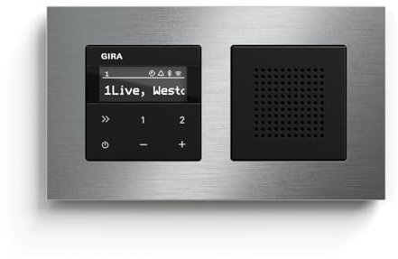 Gira Internetradio IP Set mit Lautsprecher und 2-Fach Rahmen Edelstahl/schwarz matt Badradio
