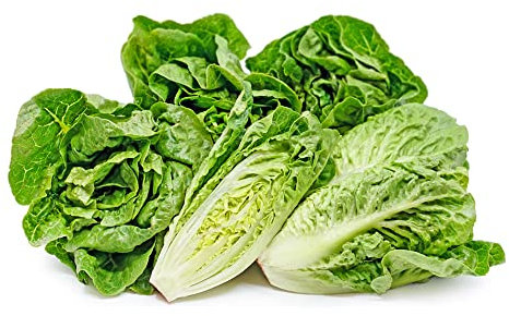 Lettuce Little Gem Seeds – Fresh and Tasty – RHS Award of Garden Merit – Early Harvest and SUCCESSIONAL Sowing – for Your Kitchen Garden