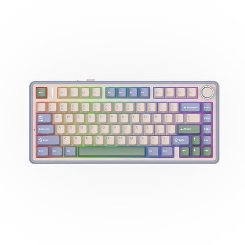 EPOMAKER AULA F75 Wireless Mechanical Gaming Keyboard, 75% Layout with Knob | Creamy Gasekt-Mount with Sound-Dampening, RGB, Hot-Swap, BT/2.4Ghz (Green, Reaper Switch)