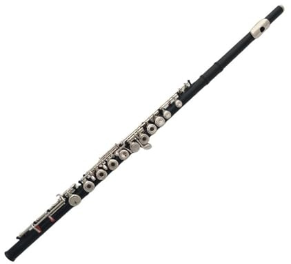 Querflöte Instrument Flöte 17-Loch Schwarze Flöte Anfänger-Performance-Flöte