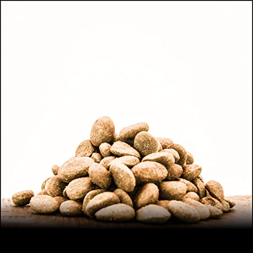 Trockenfutter - Lamm - 3000g - von George and Bobs -
