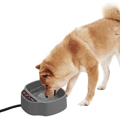 Toozey Gamelle Chauffée pour Chiens et Animaux Domestiques - Températures Réglables, 2.5L Thermostatique pour Chats/Poules/Lapins en Hiver